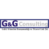 G&G CONSULTING