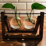  Masa Üstü Teraryum Bambu Topraksız Bitki Cam