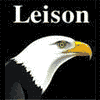 WENZHOU LEISON E  &  T., LTD.