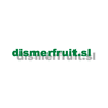 DISMERFRUIT.SL