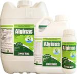 Alginas