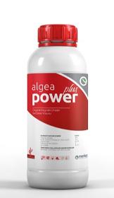 Algea Power Plus
